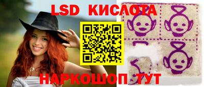 прущие грибы Ковров
