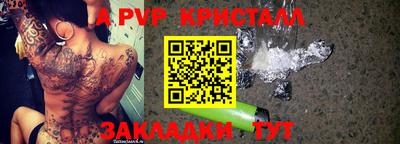 прущие грибы Ковров