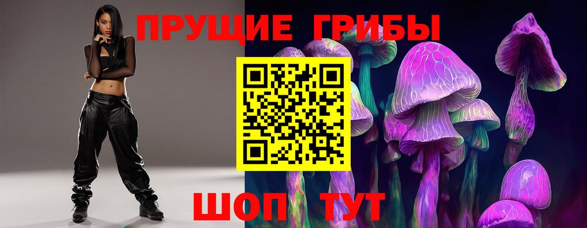 Псилоцибиновые грибы Psilocybine cubensis Гусев